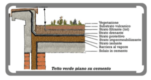 Tetto verde-su-piano-in-cemento
